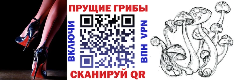 Купить закладки  Лахденпохья  Псилоцибиновые грибы Cubensis 