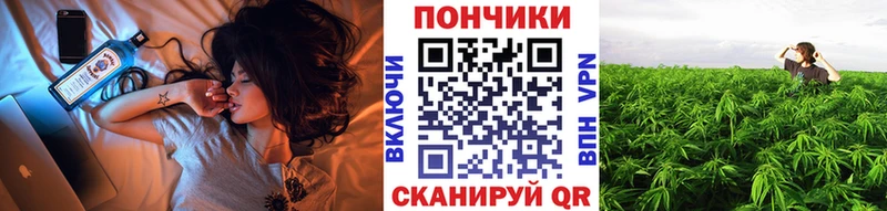 Купить закладки  Лахденпохья  Бошки Шишки Bruce Banner 